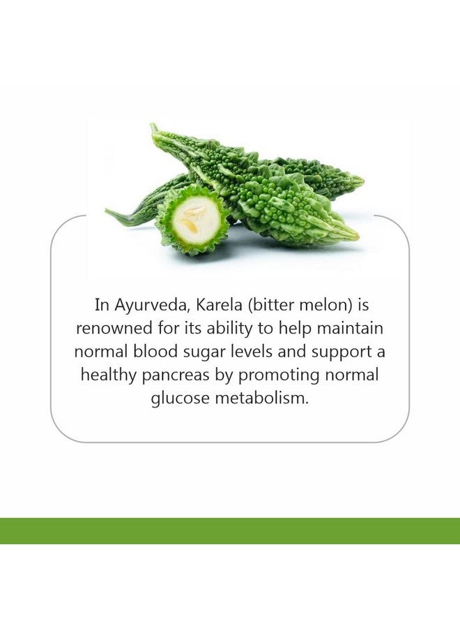 Jain Karela Powder - 1 kg - Image 2