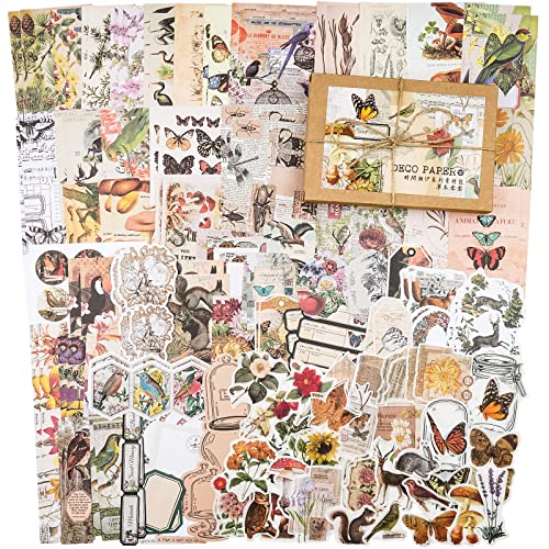 Knaid 200 Pieces Vintage Ephemera Pack Decoupage Paper Junk Journal Kit Scrapbook Planner Sticker Supplies for Art Journaling Bullet Journals Collage Craft Notebooks Album Crafter Gifts Forest