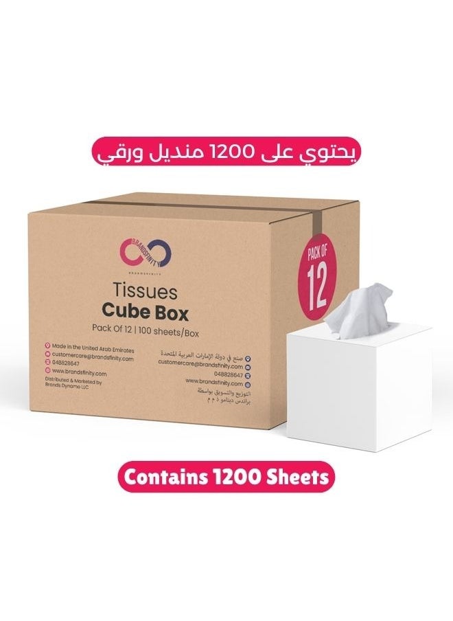 2 Ply Facial Tissue 1200 Sheets in Cube Boxes - Contains 12 Box of 100 Premium Quality Soft and Absorbent Tissues 