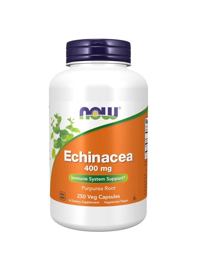 NOW Supplements, Echinacea (Purpurea Root) 400 mg, Immune System Support*, 250 Veg Capsules - Image 1