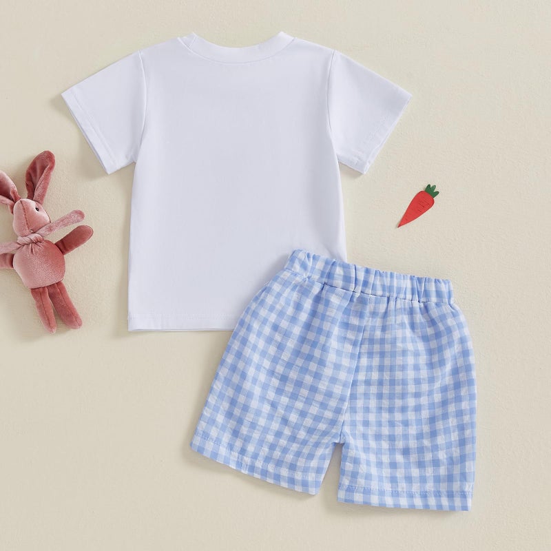 BemeyourBBs Toddler Baby Boy Easter Outfit Graph Short Sleeve T Shirt Elastic Waist Pockets Shorts Set 2 Piece Clothes Cart bunny carrot blue, 2-3T - Image 3