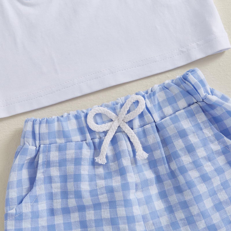 BemeyourBBs Toddler Baby Boy Easter Outfit Graph Short Sleeve T Shirt Elastic Waist Pockets Shorts Set 2 Piece Clothes Cart bunny carrot blue, 2-3T - Image 5
