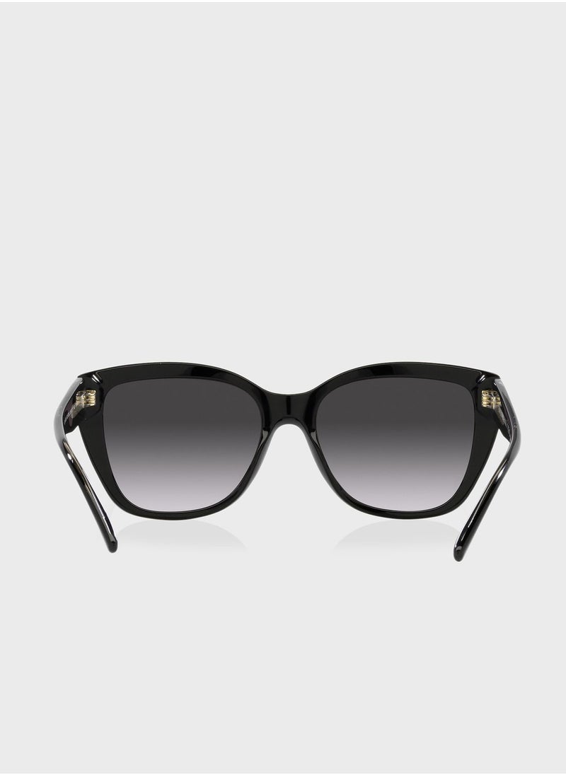 EMPORIO ARMANI - 0Ea4198 Oversized Sunglasses - Image 1