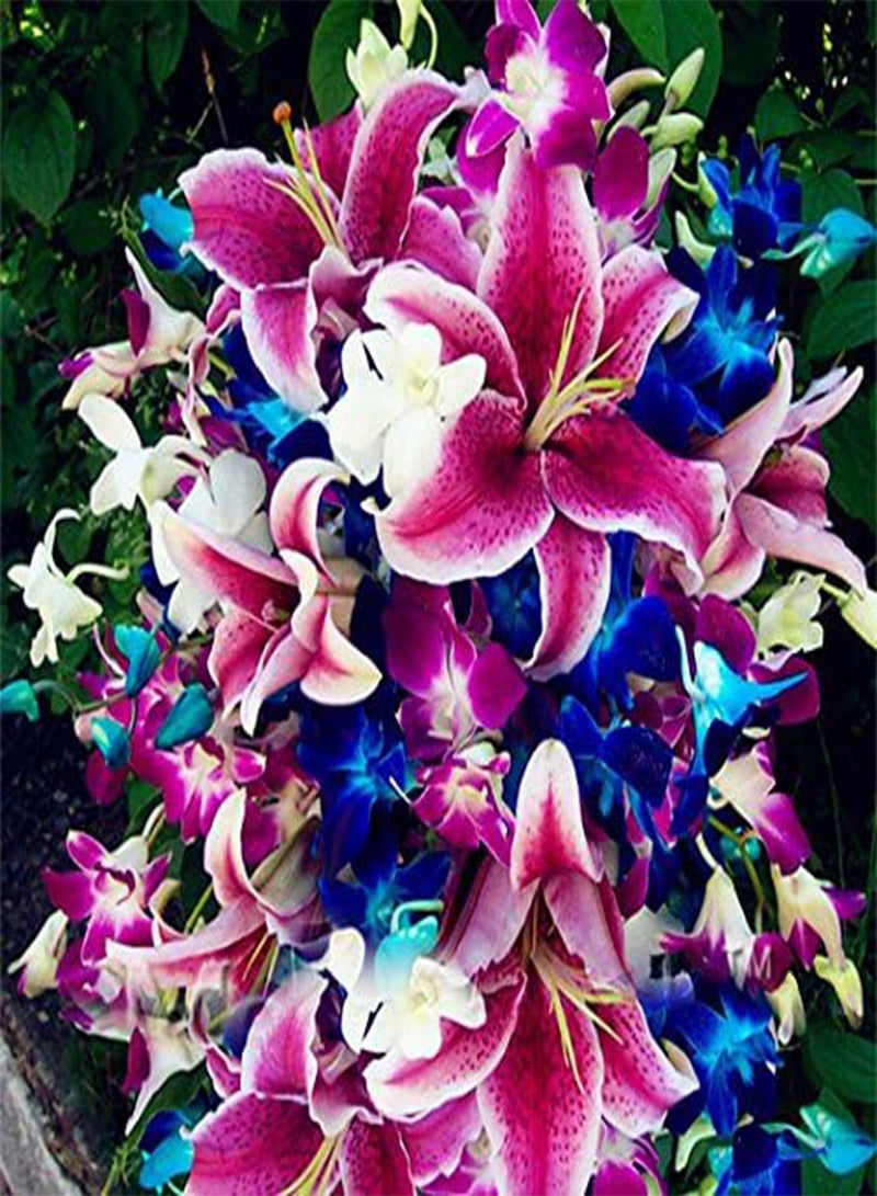 GGOOT 100 PCS Perfume Liliy Seeds Cheap Perfume Lilies Seeds, Rare Color Flower Garden Plant - 3 - Image 3