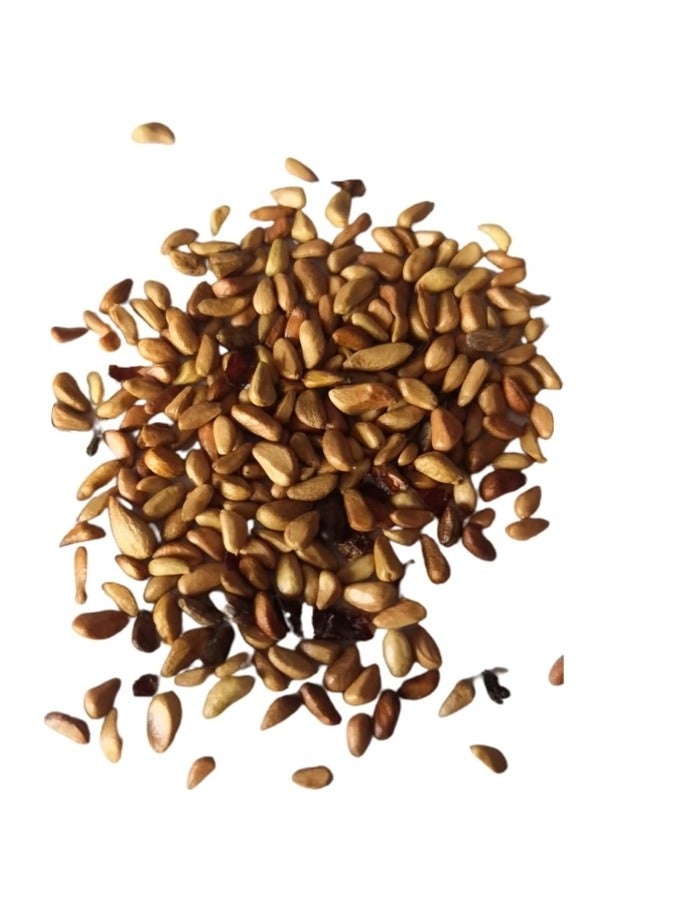 500 قطعة من بذور الورد المتسلق باللون الأرجواني - Image 2