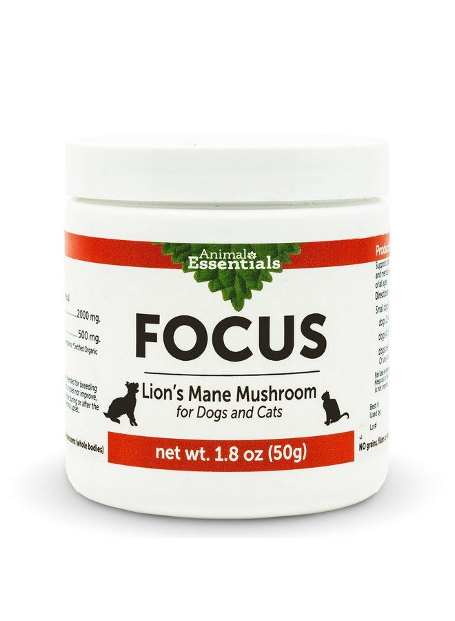 Animal Essentials Focus Lions Mane Mushroom Supplement for Dogs & Cats - Supports Brain Health, Cognitive Function, Healthy Immune Response, Mushroom Powder Extract - 1.8 Oz (Pack of 1) - Image 1
