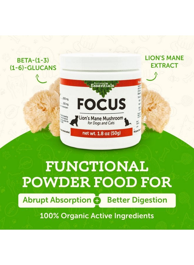 Animal Essentials Focus Lions Mane Mushroom Supplement for Dogs & Cats - Supports Brain Health, Cognitive Function, Healthy Immune Response, Mushroom Powder Extract - 1.8 Oz (Pack of 1) - Image 3