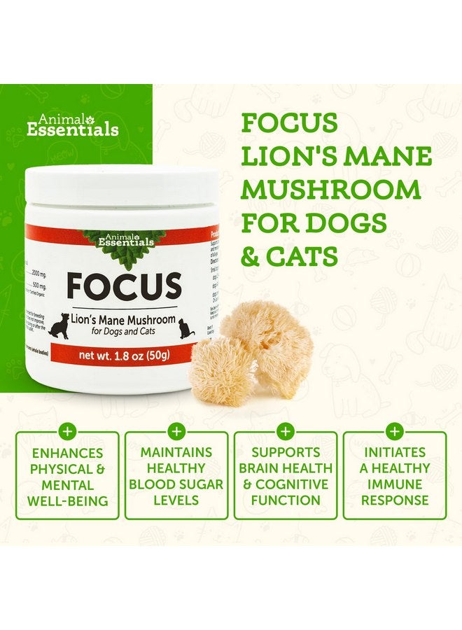 Animal Essentials Focus Lions Mane Mushroom Supplement for Dogs & Cats - Supports Brain Health, Cognitive Function, Healthy Immune Response, Mushroom Powder Extract - 1.8 Oz (Pack of 1) - Image 2