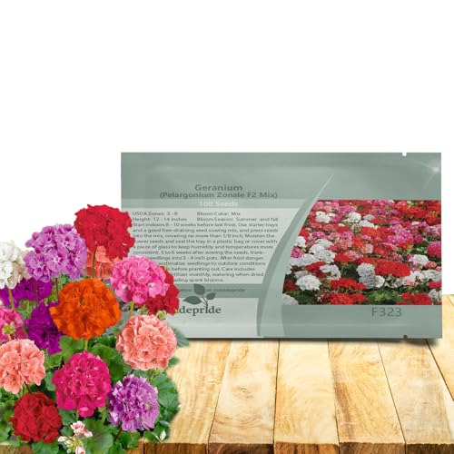 Outsidepride Mix Geranium Seeds for Planting - 100 Pcs Annual, Heat & Drought Tolerant Flower Seeds with Green Foliage & Mix Blooms for Pots, Borders & Lush Summer Garden Displays - Image 1