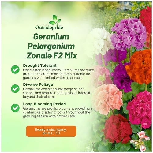 Outsidepride Mix Geranium Seeds for Planting - 100 Pcs Annual, Heat & Drought Tolerant Flower Seeds with Green Foliage & Mix Blooms for Pots, Borders & Lush Summer Garden Displays - Image 3
