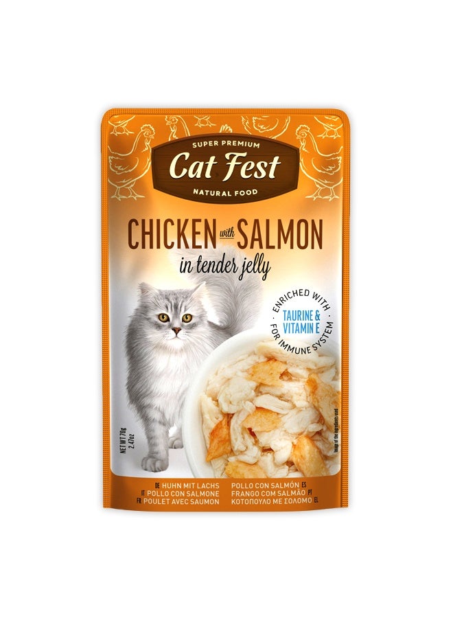 Cat Fest دجاج مع سمك السلمون في جلي رقيق للقطط - 70غ - Image 1