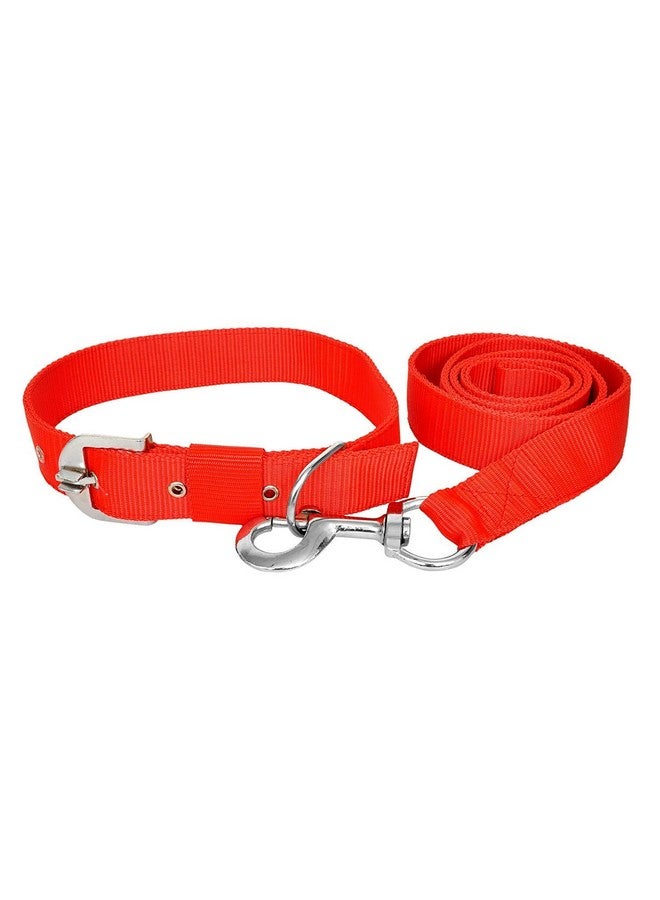 Adjustable Dogs Leash Collar Perfect For Daily Walking Running Training - Medium- Nylon, Red - Image 1