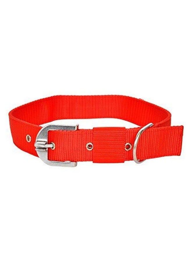 Adjustable Dogs Leash Collar Perfect For Daily Walking Running Training - Medium- Nylon, Red - Image 4