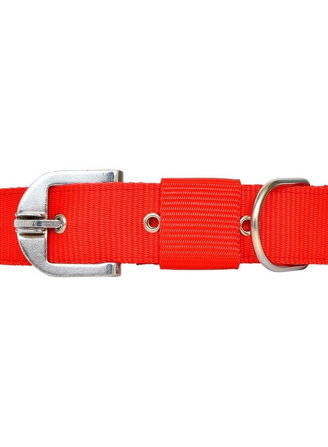 Adjustable Dogs Leash Collar Perfect For Daily Walking Running Training - Medium- Nylon, Red - Image 2