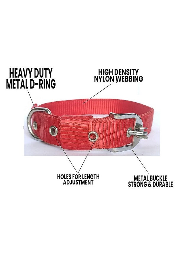 Adjustable Dogs Leash Collar Perfect For Daily Walking Running Training - Medium- Nylon, Red - Image 5