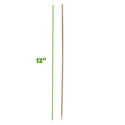 GUSTO [12 Inch - 100 Count] Bamboo Skewers for Shish Kabob, Grilling, Fruits, Appetizers, and Cocktails (Formerly Comfy Package) - Image 2