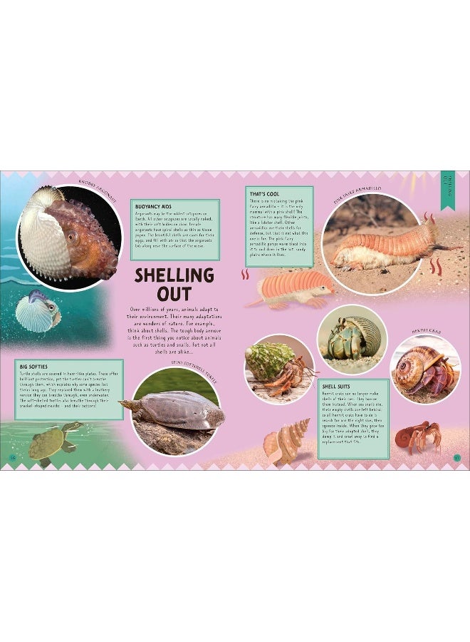 Odd Animals Out - Image 5