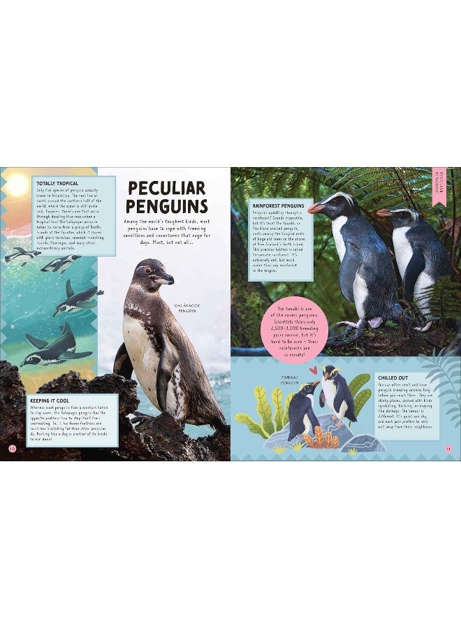 Odd Animals Out - Image 4