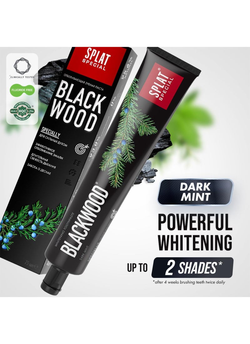 SPLAT Special Blackwood Charcoal Natural Toothpaste Powerful Whitening - Image 3