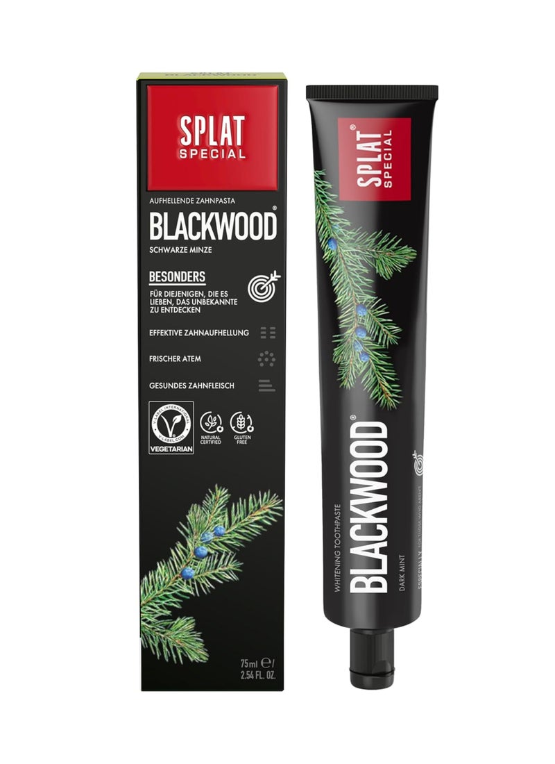 SPLAT Special Blackwood Charcoal Natural Toothpaste Powerful Whitening - Image 1