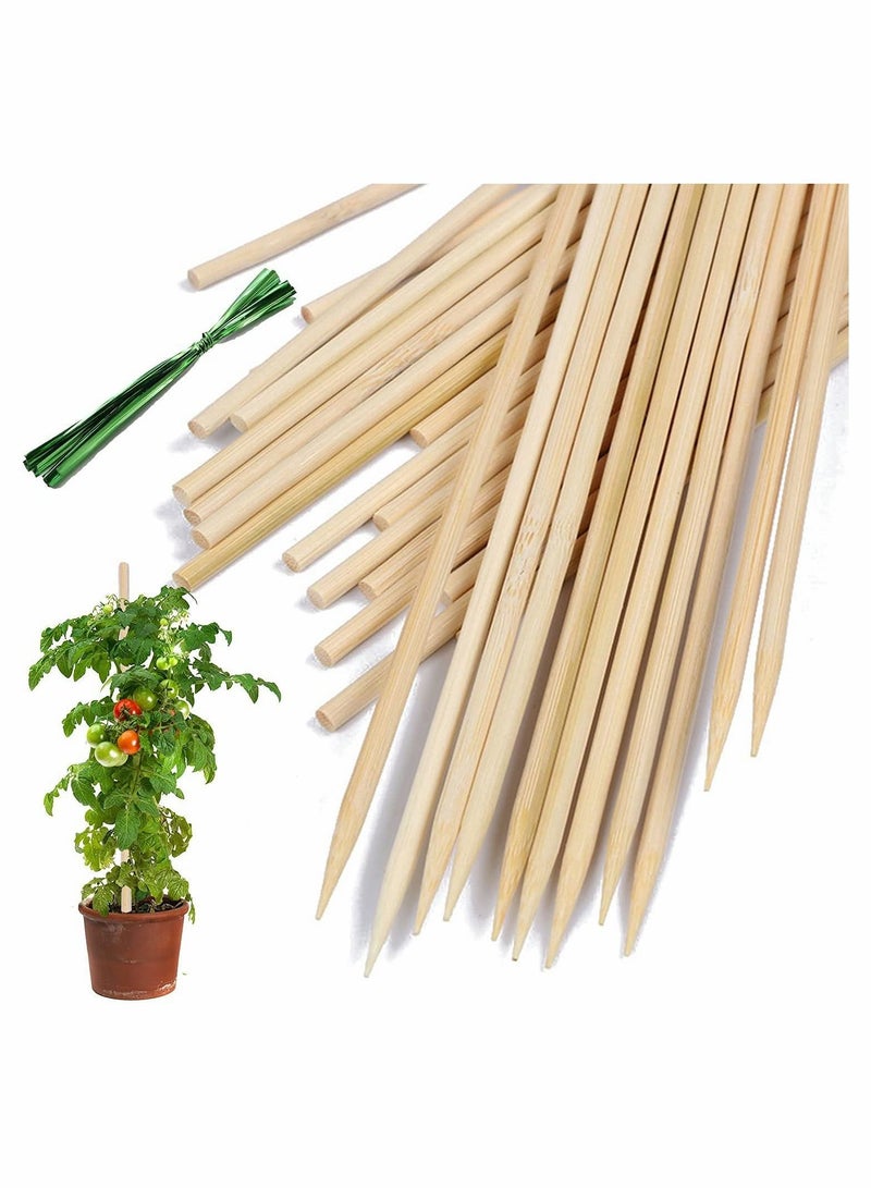 واي آند دي KASTWAVE Bamboo Plant Stakes,100 Pack 40cm Sticks Support,Floral Support Wooden,Indoor Gardening Supports,Wooden Sign Posting Garden Sticks,with 9 cm Wires (200 pcs)  - Image 1