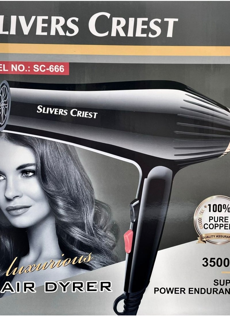 SILVER CREST - Professional Hair Dryer, Super Endurance Strong Wind Electric Hair Dryer With Accessories 3500W Black - Image 1