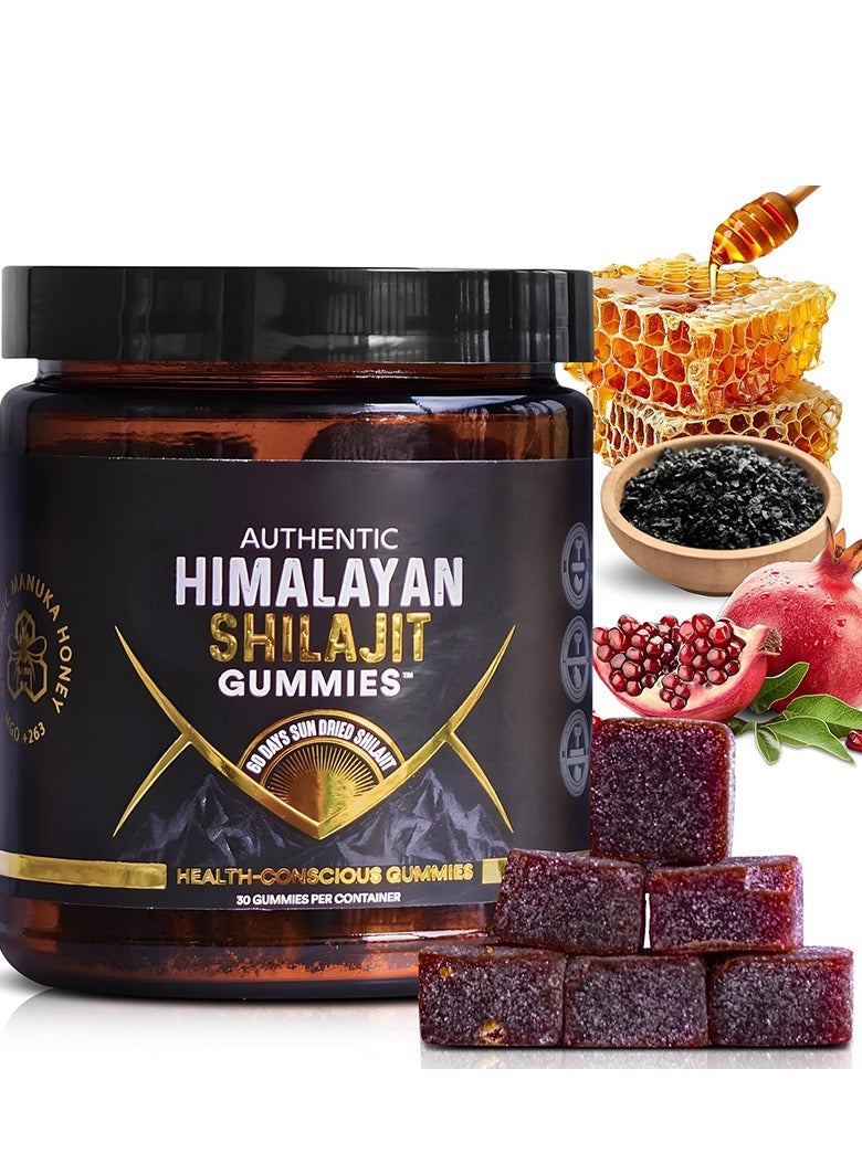 AUTHENTIC Shilajit Gummies, Boost Immunity, Strength and Endurance 30 Count - Image 1