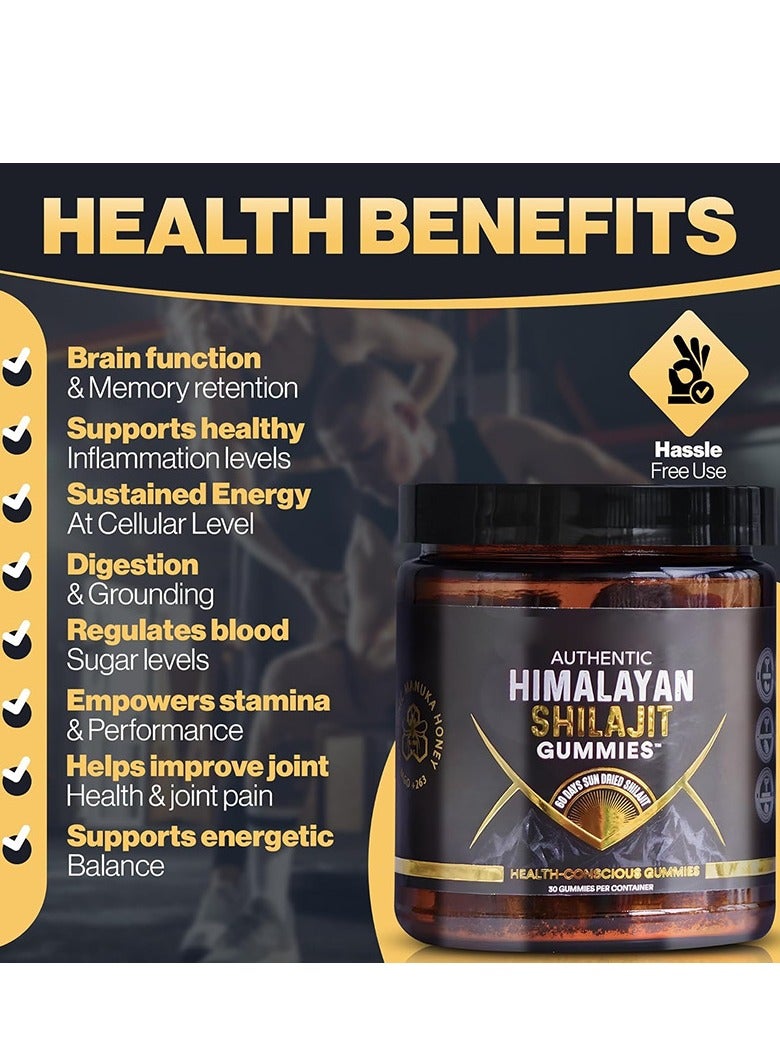 AUTHENTIC Shilajit Gummies, Boost Immunity, Strength and Endurance 30 Count - Image 2