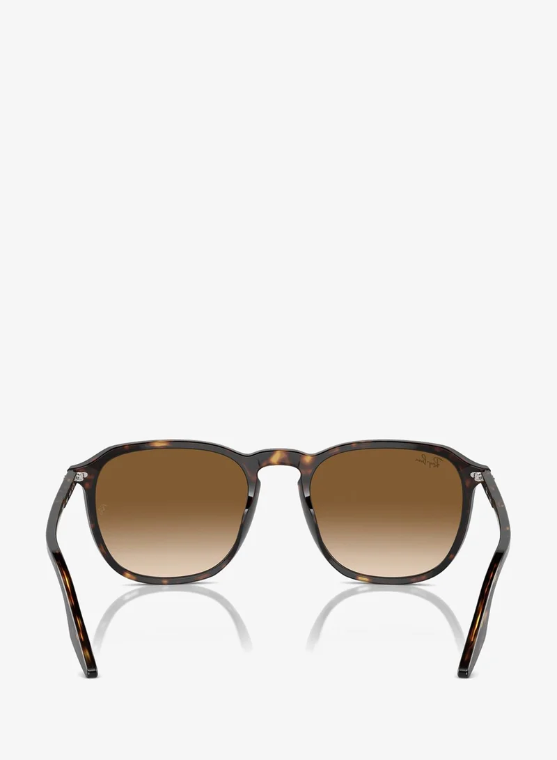 Ray-ban 0Rb2203 Wayfarers Sunglasses