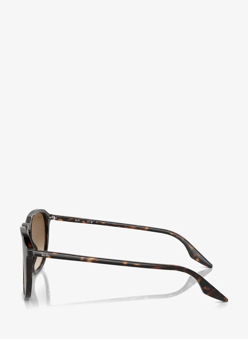 Ray-ban  0Rb2203 Wayfarers Sunglasses  | Best Price UAE