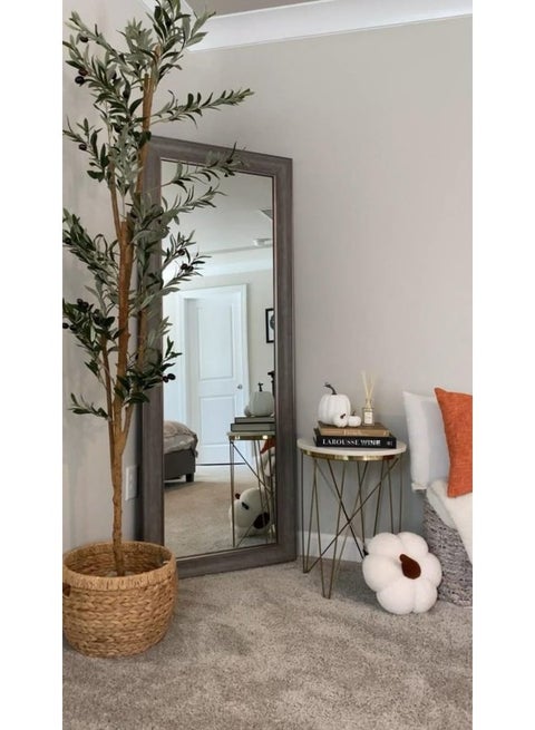 Stand Mirrors Gray 4X175X70 Cm