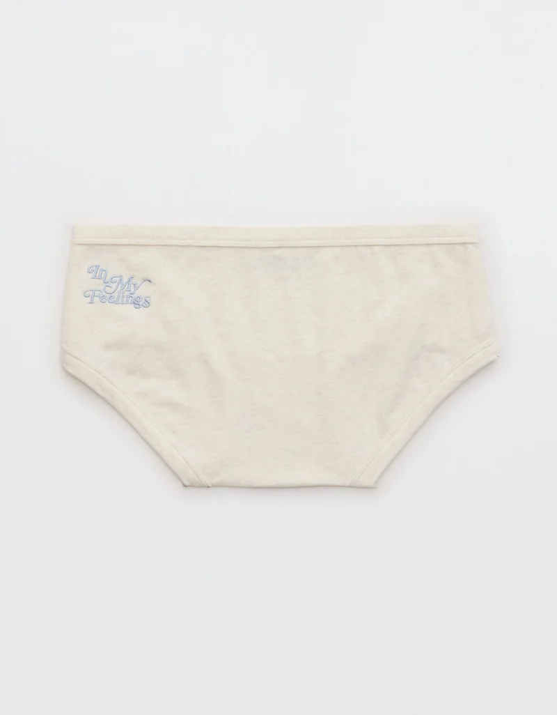 Aerie Superchill Original Cotton Boybrief Underwear