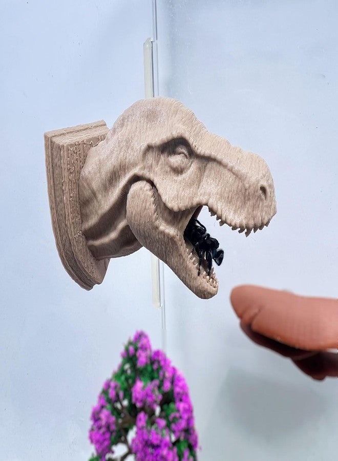 Daerky Jumping Spider Hide,3D Printed Dinosaur Head - A Fun Habitat for Jumping Spiders, Small Reptiles, and Small Pets, Suitable for Home Decor with Animal Enclosures (Wood Color) - Image 1