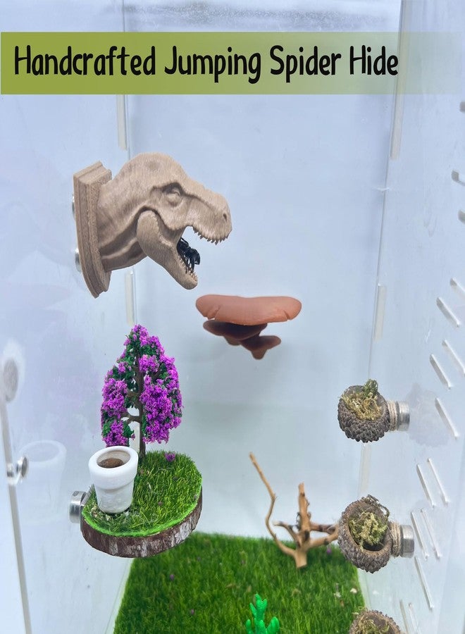 Daerky Jumping Spider Hide,3D Printed Dinosaur Head - A Fun Habitat for Jumping Spiders, Small Reptiles, and Small Pets, Suitable for Home Decor with Animal Enclosures (Wood Color) - Image 2