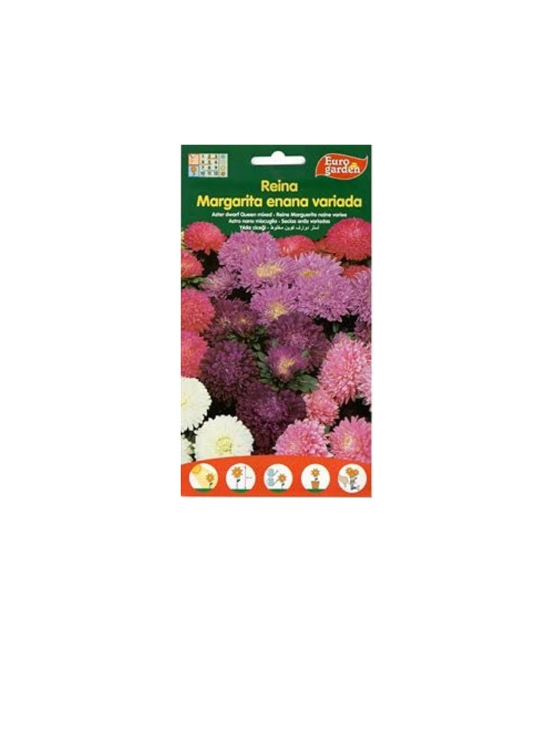 يورو جاردن أستر دوافت مشكل - Image 3