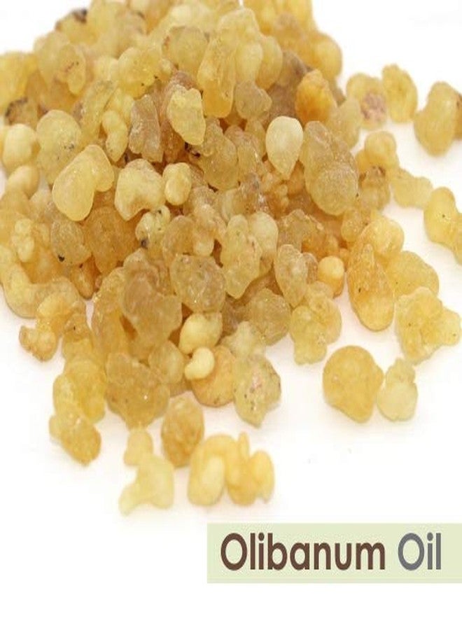 Crysalis Olibanum Oil 30 ml (1.01 fl oz) – Sacred Frankincense Aromatic Oil for Skincare, Haircare, DIY Formulations, Soaps & Cream Blends - Image 2