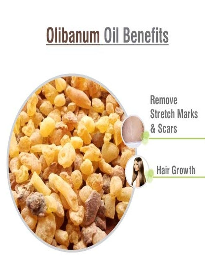 Crysalis Olibanum Oil 30 ml (1.01 fl oz) – Sacred Frankincense Aromatic Oil for Skincare, Haircare, DIY Formulations, Soaps & Cream Blends - Image 3