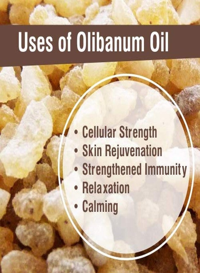 Crysalis Olibanum Oil 30 ml (1.01 fl oz) – Sacred Frankincense Aromatic Oil for Skincare, Haircare, DIY Formulations, Soaps & Cream Blends - Image 5
