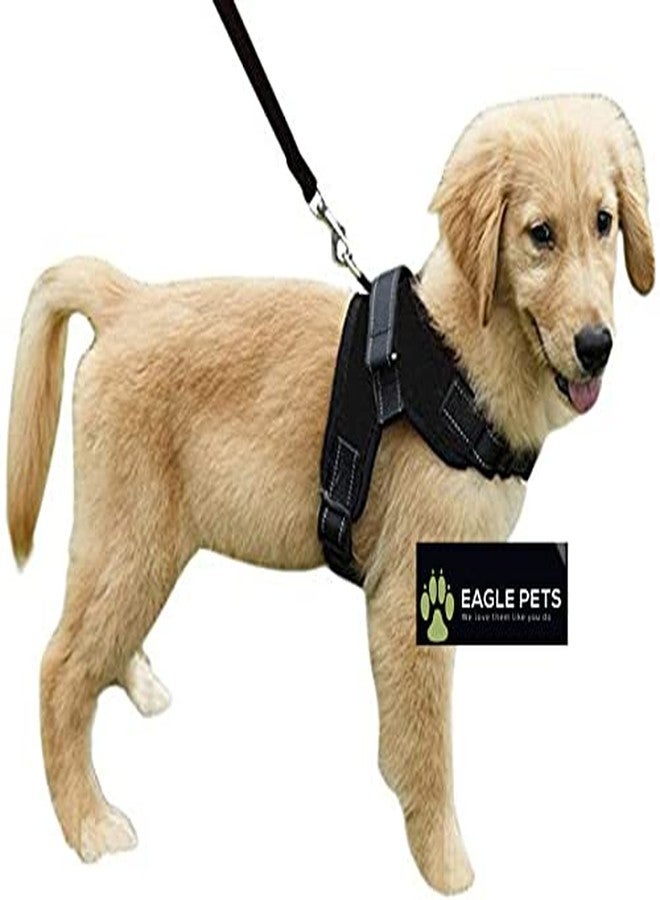 Eagle Pets No Pull Dog Harness, Breathable Adjustable Comfort, Free Reflector Leash Included, for Small Medium Large Dog, Best for Training Walking (Black, XL) - Image 5