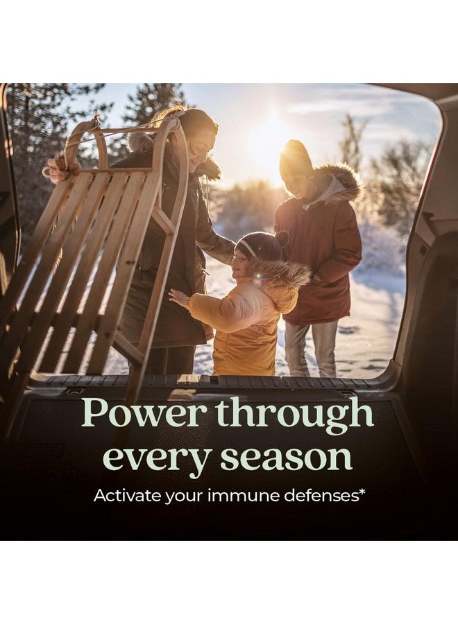 New Chapter Vegan Elderberry Capsules with 64x Concentrated Black Elderberry + Black Currant for Comprehensive Immune Support, Non-GMO Project Verified, Gluten Free, Certified Vegan, 60 Count - Image 1