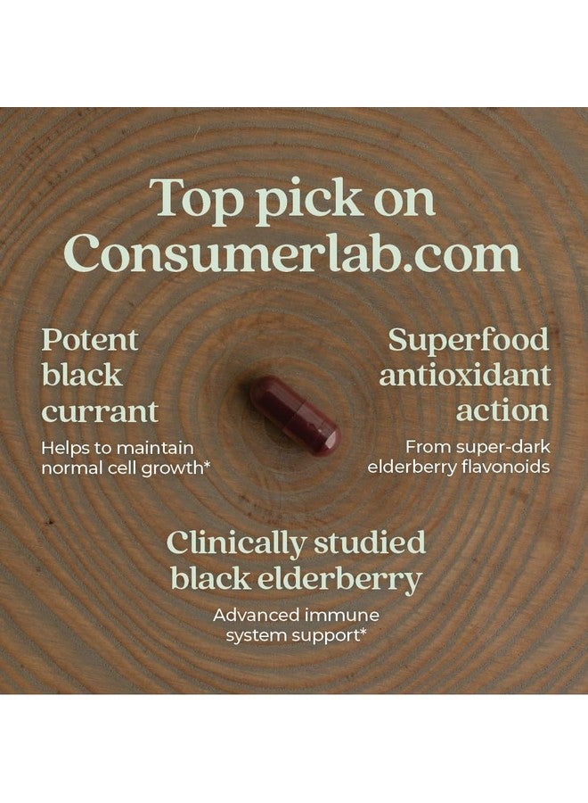 New Chapter Vegan Elderberry Capsules with 64x Concentrated Black Elderberry + Black Currant for Comprehensive Immune Support, Non-GMO Project Verified, Gluten Free, Certified Vegan, 60 Count - Image 3