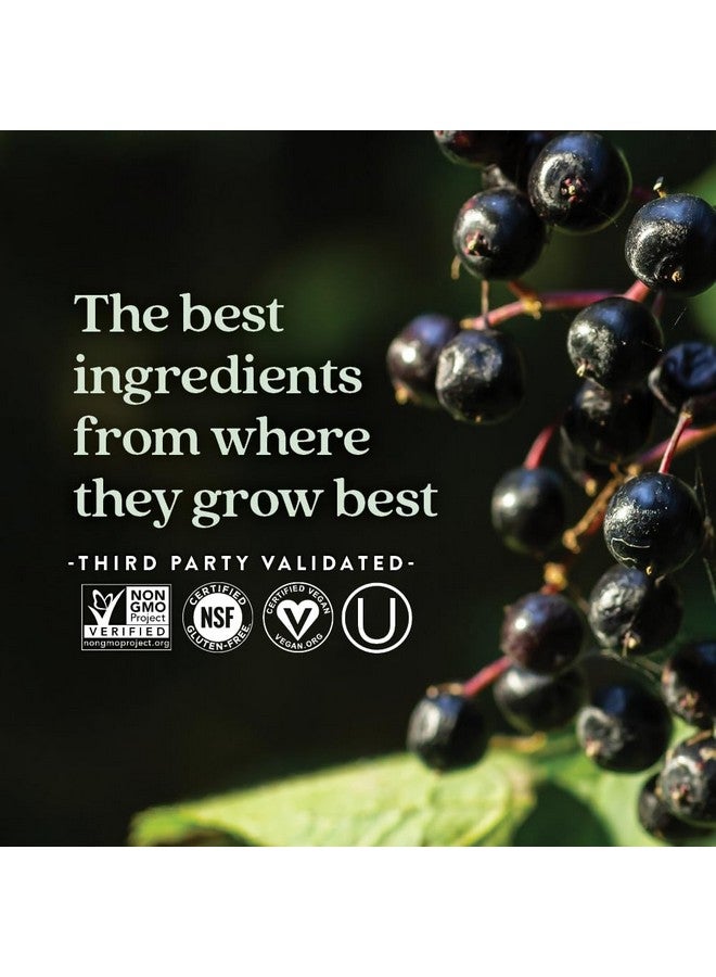 New Chapter Vegan Elderberry Capsules with 64x Concentrated Black Elderberry + Black Currant for Comprehensive Immune Support, Non-GMO Project Verified, Gluten Free, Certified Vegan, 60 Count - Image 4