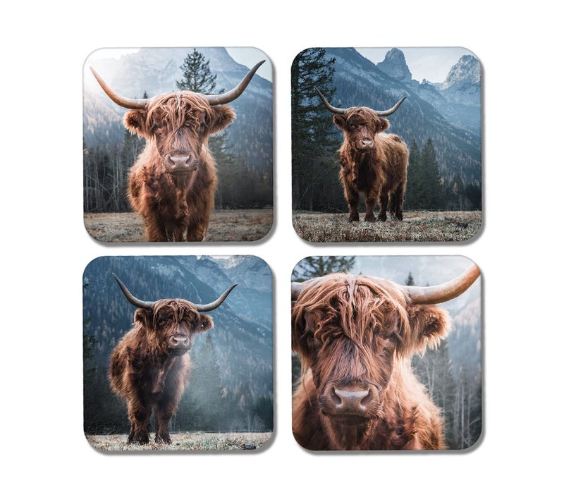 DV DESIGN 4 x Square Highland Cows Coasters  Animals Cattle Scottish Cow Coaster Gift 77889