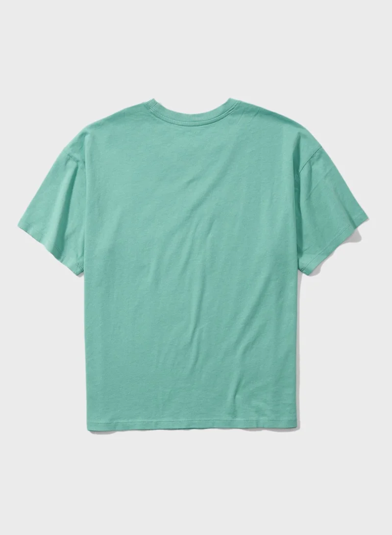 American Eagle Round Neck Graphic T-Shirt