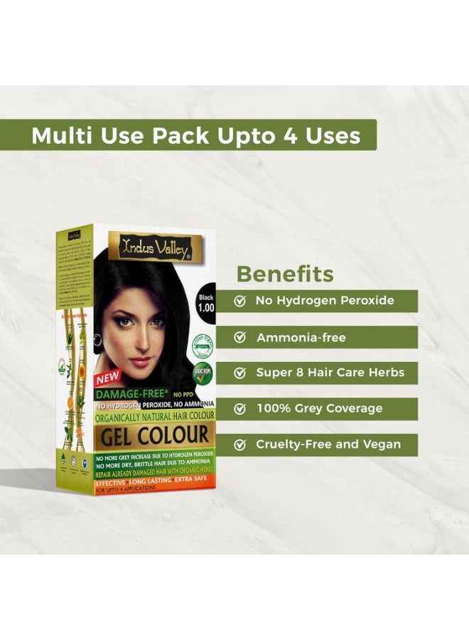 Indus Valley Damage Free Natural Gel Hair Colour for Women | Ammonia & PPD Free Organic Hair Colour with 100% Grey Coverage, Long Lasting Conditioning Hair Color | Black 1.00-220 ml - Image 3