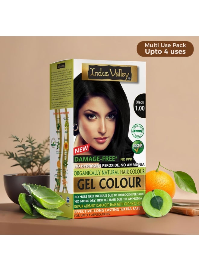 Indus Valley Damage Free Natural Gel Hair Colour for Women | Ammonia & PPD Free Organic Hair Colour with 100% Grey Coverage, Long Lasting Conditioning Hair Color | Black 1.00-220 ml - Image 2