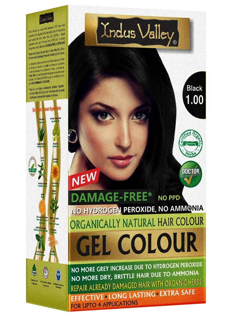 Indus Valley Damage Free Natural Gel Hair Colour for Women | Ammonia & PPD Free Organic Hair Colour with 100% Grey Coverage, Long Lasting Conditioning Hair Color | Black 1.00-220 ml - Image 1