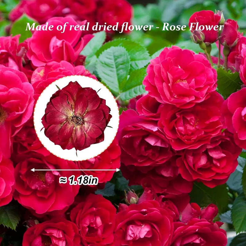 Excefore Dried Pressed Rose Flowers for Resin, 60 Pcs Natural Real Pressed Rose Flowers, Dry Flowers for Resin Crafts DIY Jewellery Ornament Candle Making Phone Case Home Decoration - Image 2