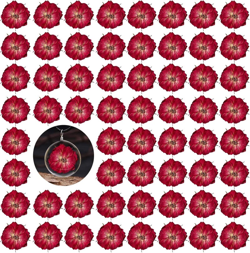 Excefore Dried Pressed Rose Flowers for Resin, 60 Pcs Natural Real Pressed Rose Flowers, Dry Flowers for Resin Crafts DIY Jewellery Ornament Candle Making Phone Case Home Decoration - Image 1