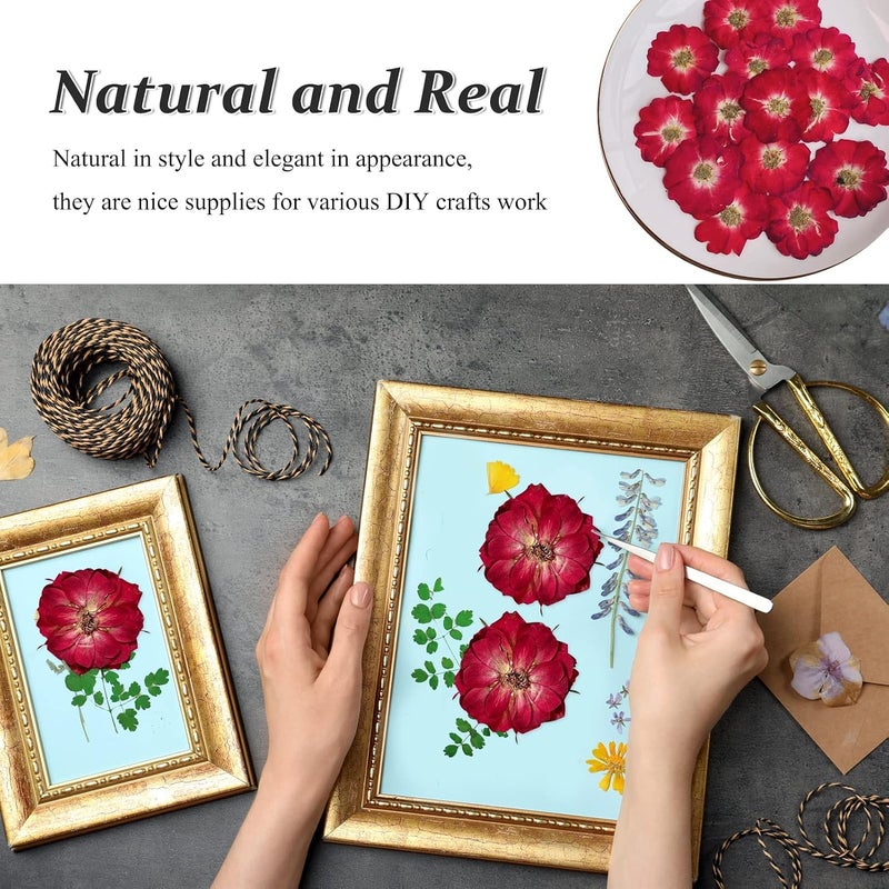 Excefore Dried Pressed Rose Flowers for Resin, 60 Pcs Natural Real Pressed Rose Flowers, Dry Flowers for Resin Crafts DIY Jewellery Ornament Candle Making Phone Case Home Decoration - Image 3